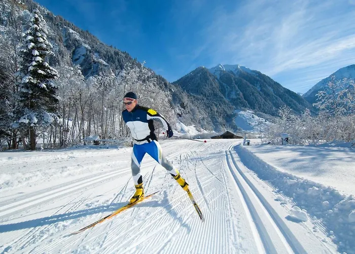 Ferienwohnung/apartment Erna Prommegger * Grossarl