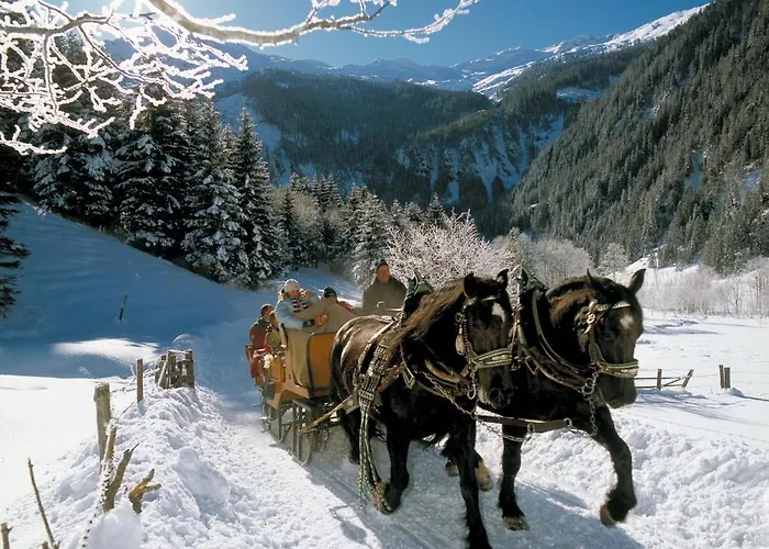 Ferienwohnung/apartment Erna Prommegger *